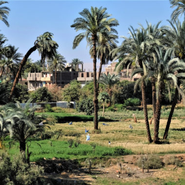 Nile Cruise on a Dahabiya Nile Valley