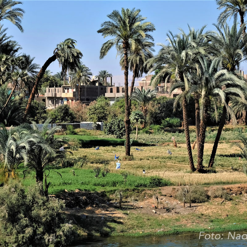 Explore the Nile valley on our dahabiya Nile cruise to El Minya