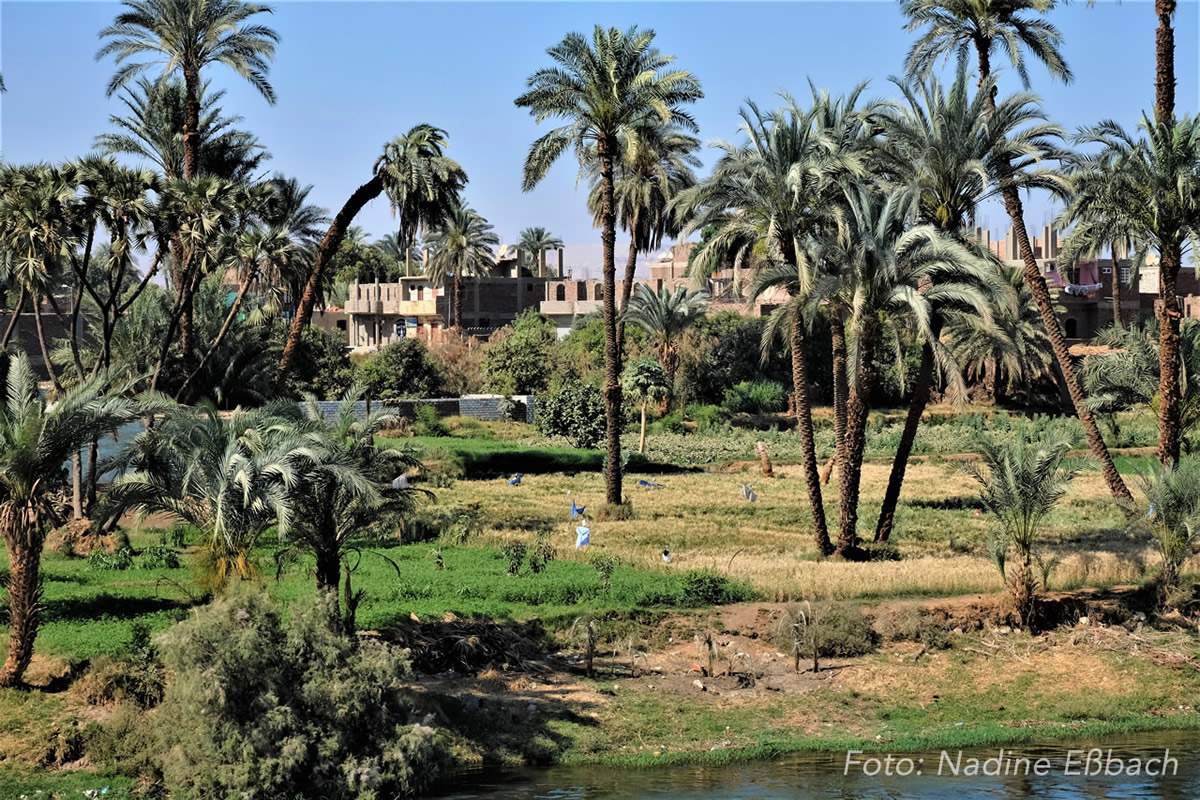 Niltal3 Explore the Nile valley on our dahabiya Nile cruise to El Minya