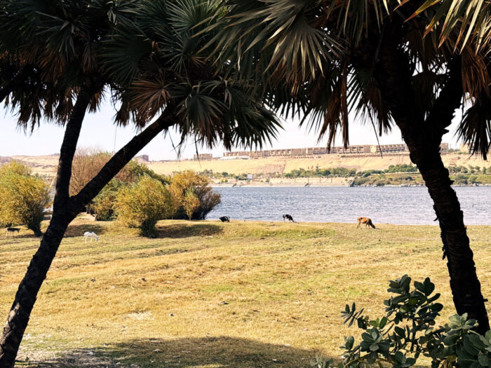 Dahabiya Nilkreuzfahrt von Luxor nach el-Minia
