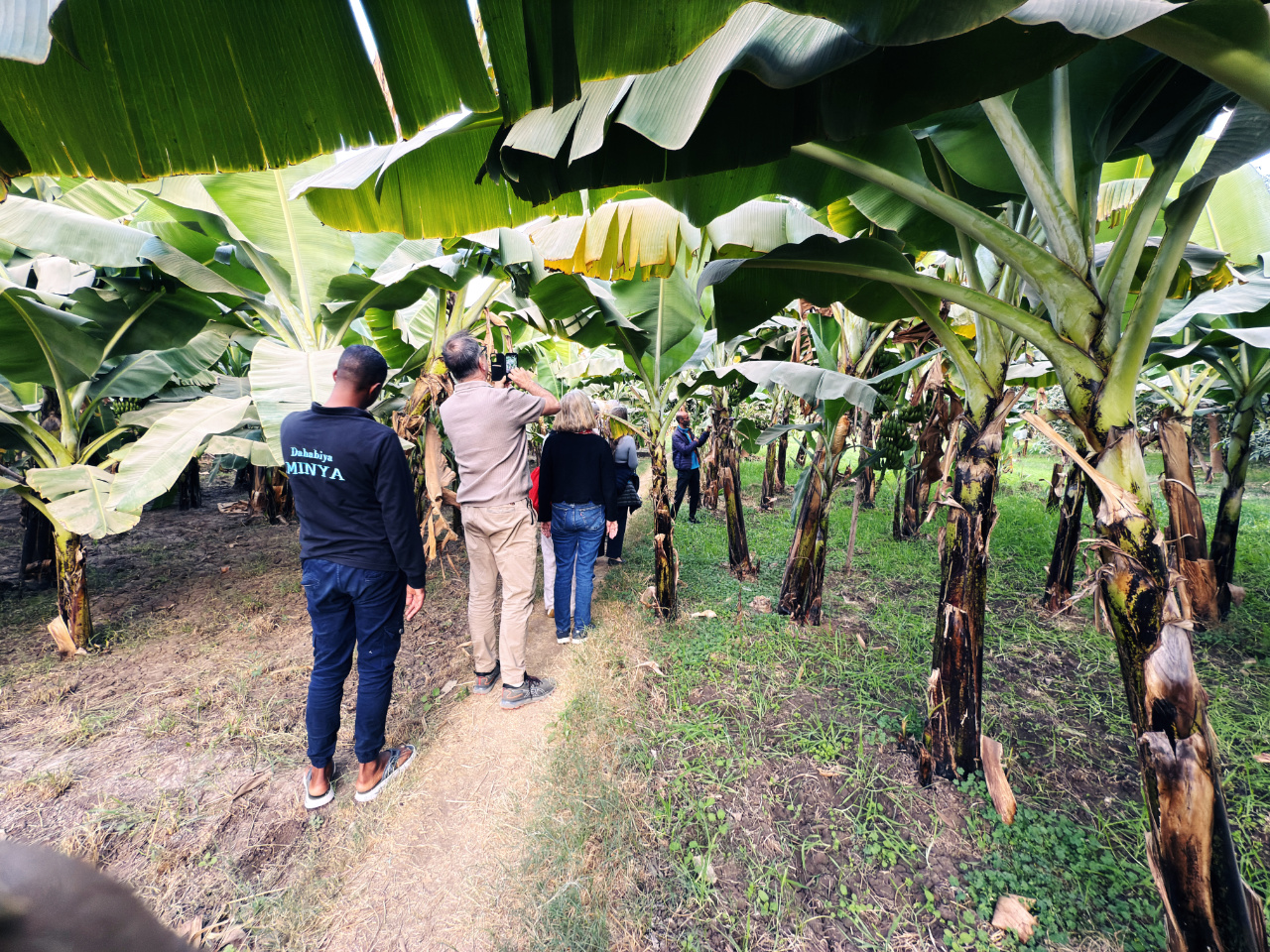 Besuch einer Plantage am Nil - Copyright Willy Leitgeb