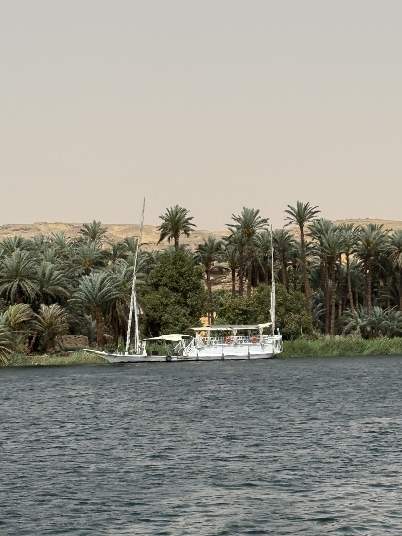 Dahabya ABUNDANCE Dahabya ABUNDANCE